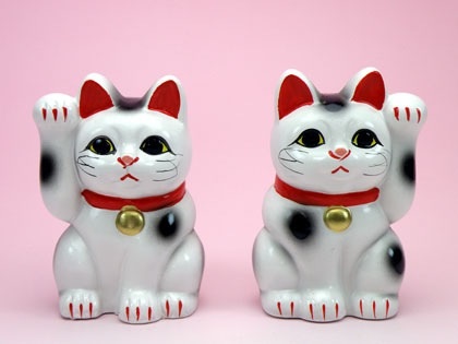 猛暑過ぎて猫が階段に列を成す…！