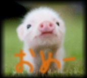 【友達とメールしてる感じで誰かと話すトピ】今なにしてるー？