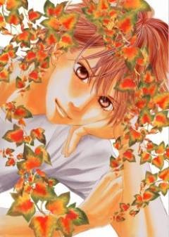 少女漫画で好きな男性キャラ