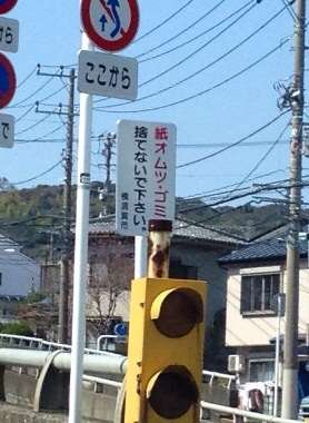 おもしろい張り紙・看板画像を貼るトピ