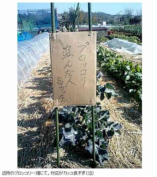 おもしろい張り紙・看板画像を貼るトピ