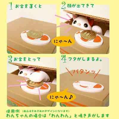 「猫寺」御誕生寺に愛好家集う、境内に52匹