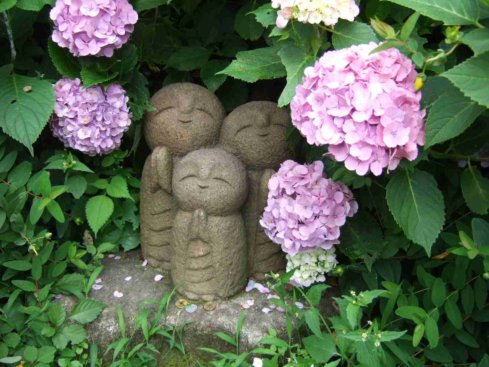お気に入り画像を貼るトピ