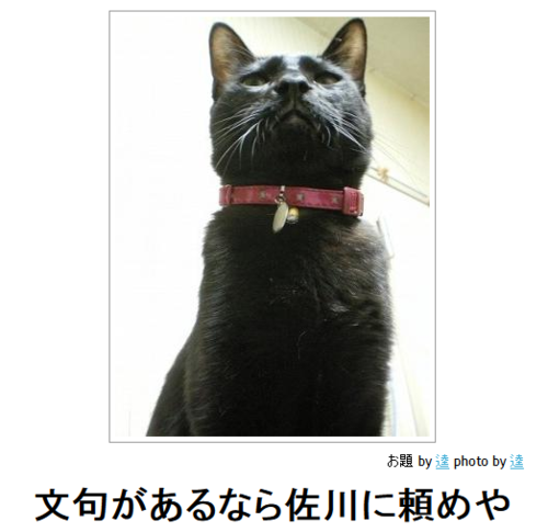 お気に入り画像を貼るトピ