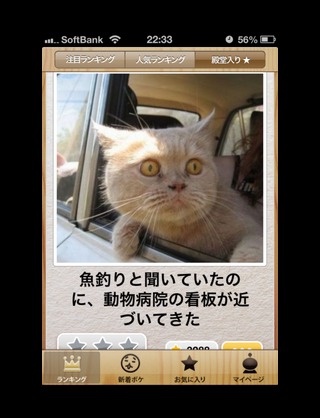 お気に入り画像を貼るトピ