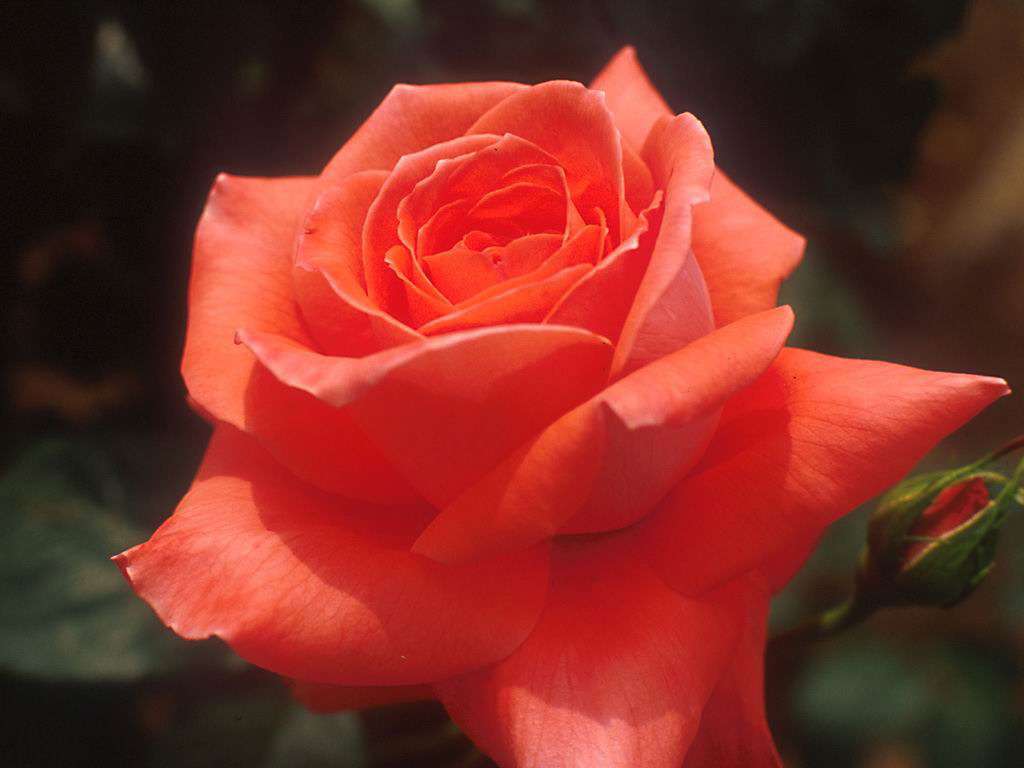 我慢できずに言ってしまった事。