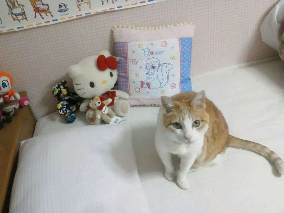 やっぱり自慢はしちゃダメですか？