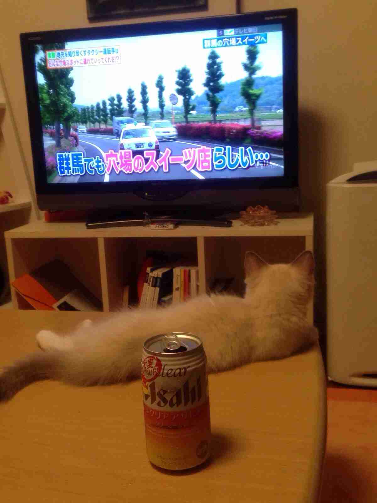 動物になりきって話すトピ