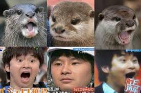 似ている芸能人画像♪