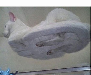 ガルちゃんで画像(サイト)を貼り付ける方法＆練習Part3