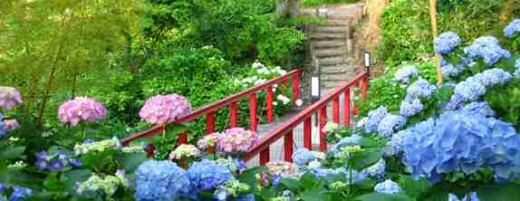 ガルちゃんで画像(サイト)を貼り付ける方法＆練習Part3