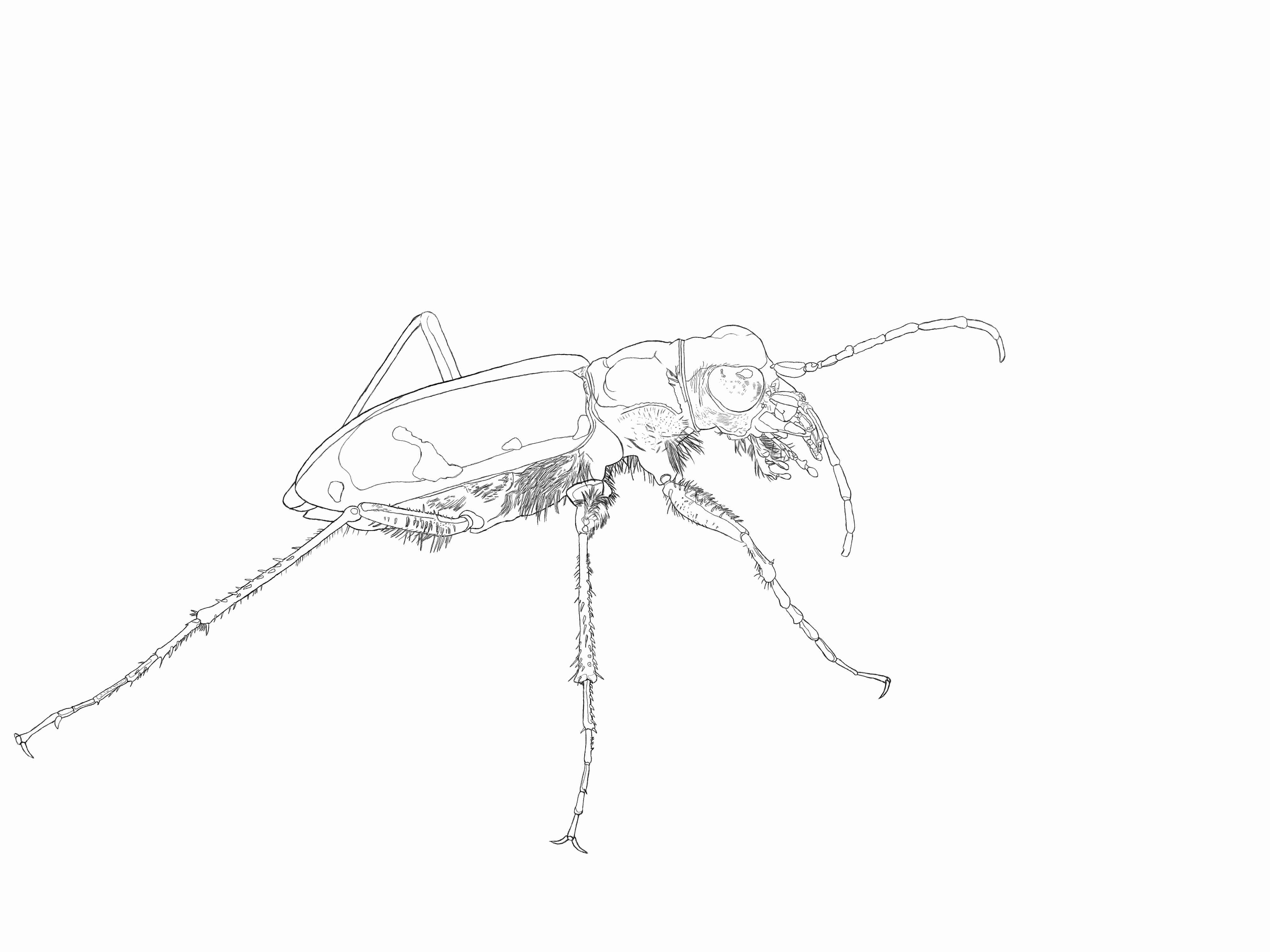 あなたの才能、何ですか?