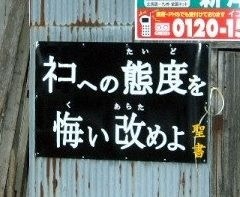 感動したキャッチコピー