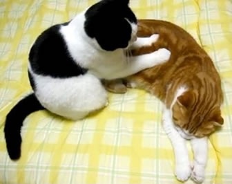 親の優しさを感じるエピソード