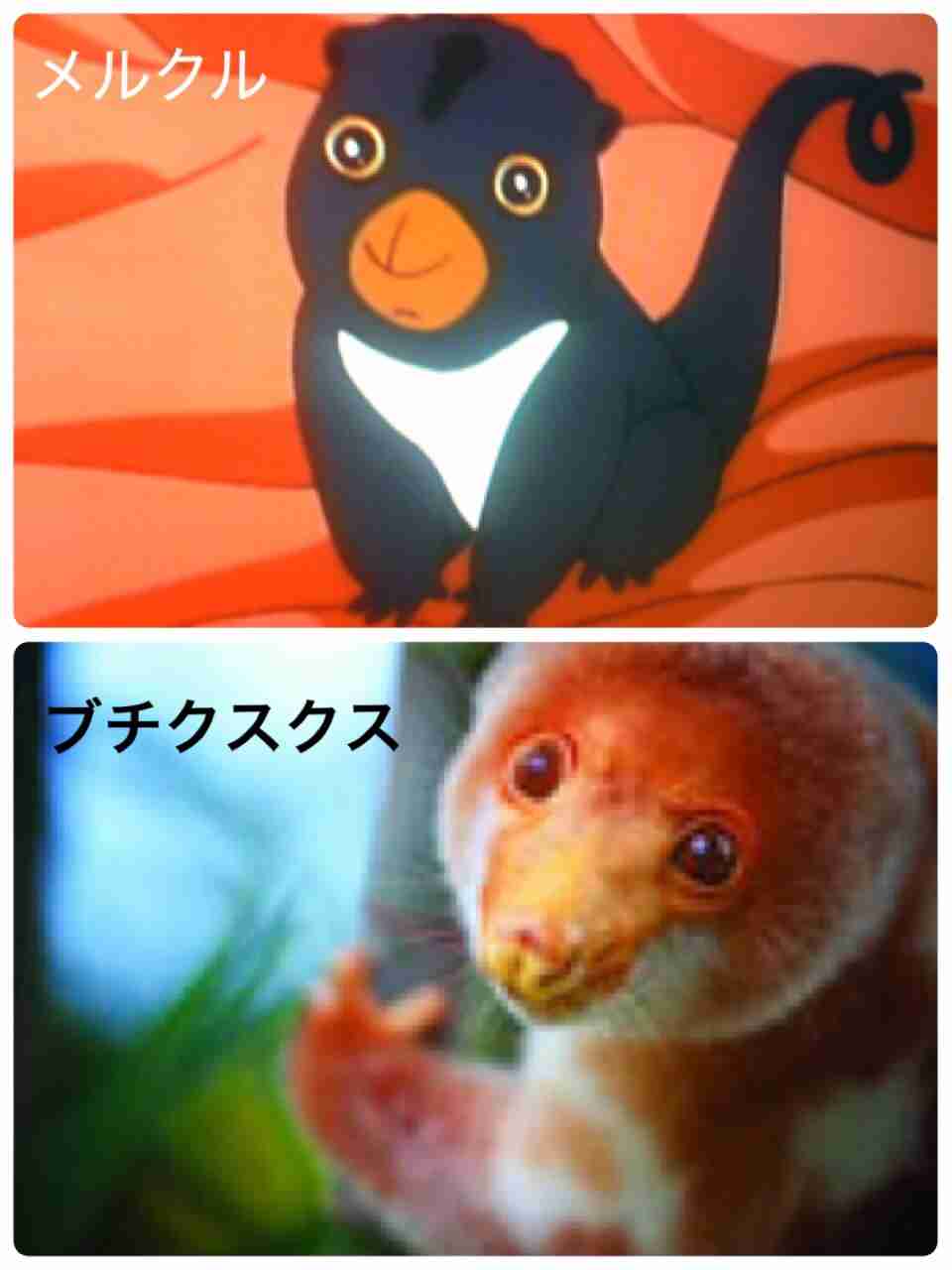 あなたが好きな“世界名作劇場”