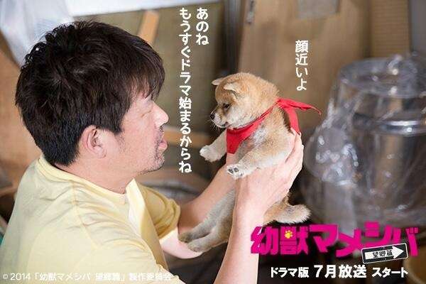 今季の好きなドラマ