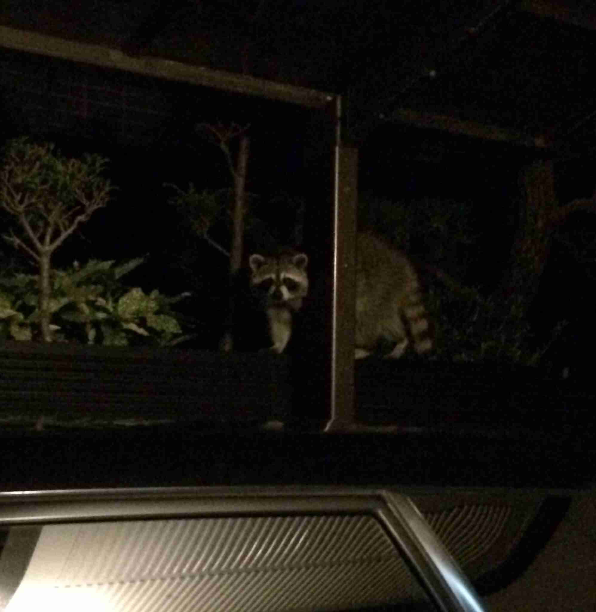 お盆に帰省してビックリしたこと 