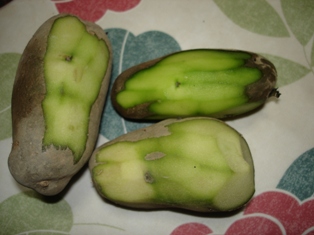 これってクレーム対象?それとも自分の気が短いだけ?正直わからないもの