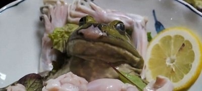 東京のすし店がカエルの活き造りを提供、「動物虐待」と批判される