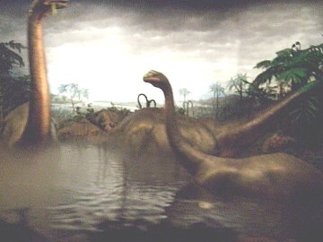 大昔の写真を貼るトピ