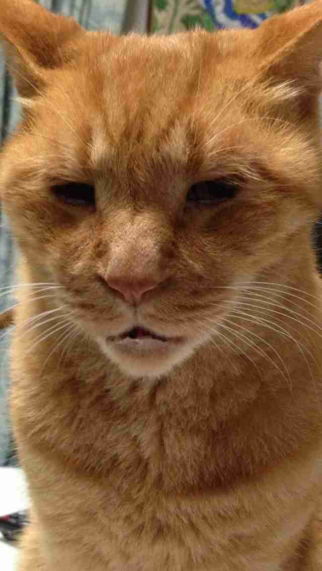 きっと彼らはすごいことを考えてる…物思いにふける動物たちの写真13枚