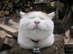 加湿器vs除湿機で勝つのはどっちか対決させてみた結果…