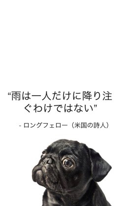 辛い気持ちを分かち合うトピ
