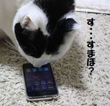 スマホで撮った写真の整理
