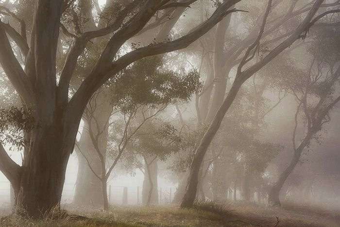 【画像】人間のちっぽけさを実感させられる雄大な自然の写真28選