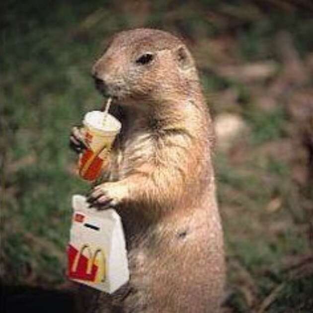 最近マック行った人！