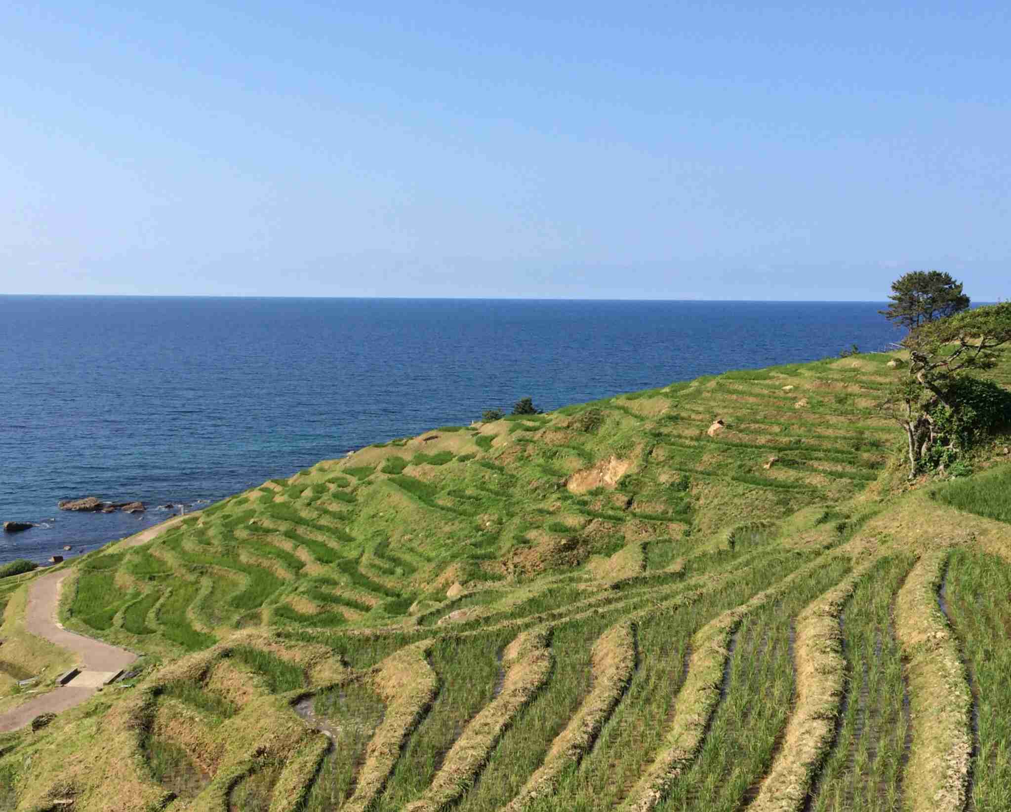 綺麗な画像【目の保養】