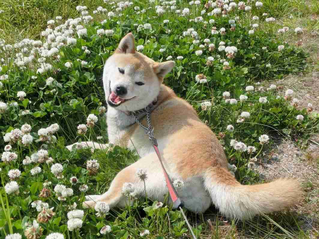 綺麗な画像【目の保養】