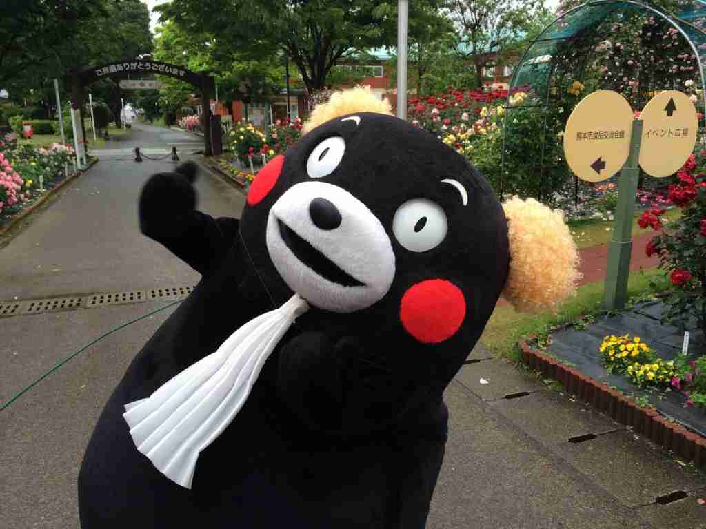 綺麗な画像【目の保養】