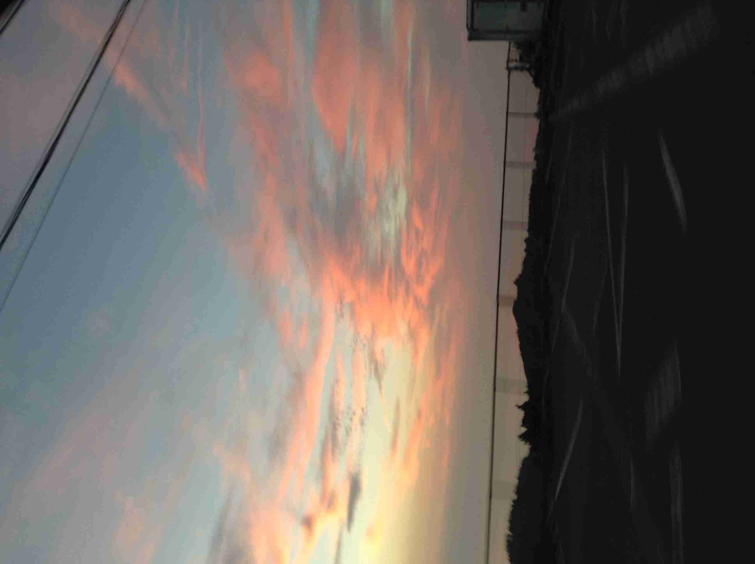 綺麗な画像【目の保養】