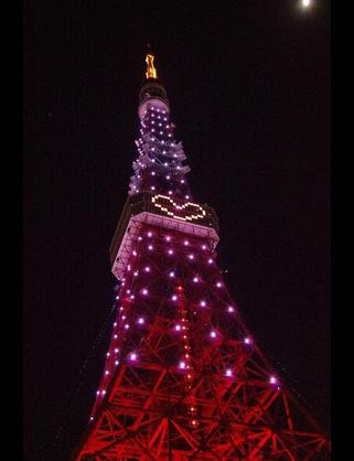 綺麗な画像【目の保養】