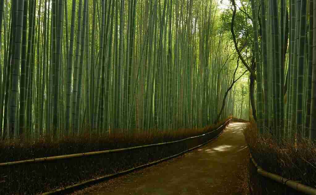 綺麗な画像【目の保養】