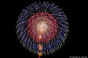 綺麗な画像【目の保養】