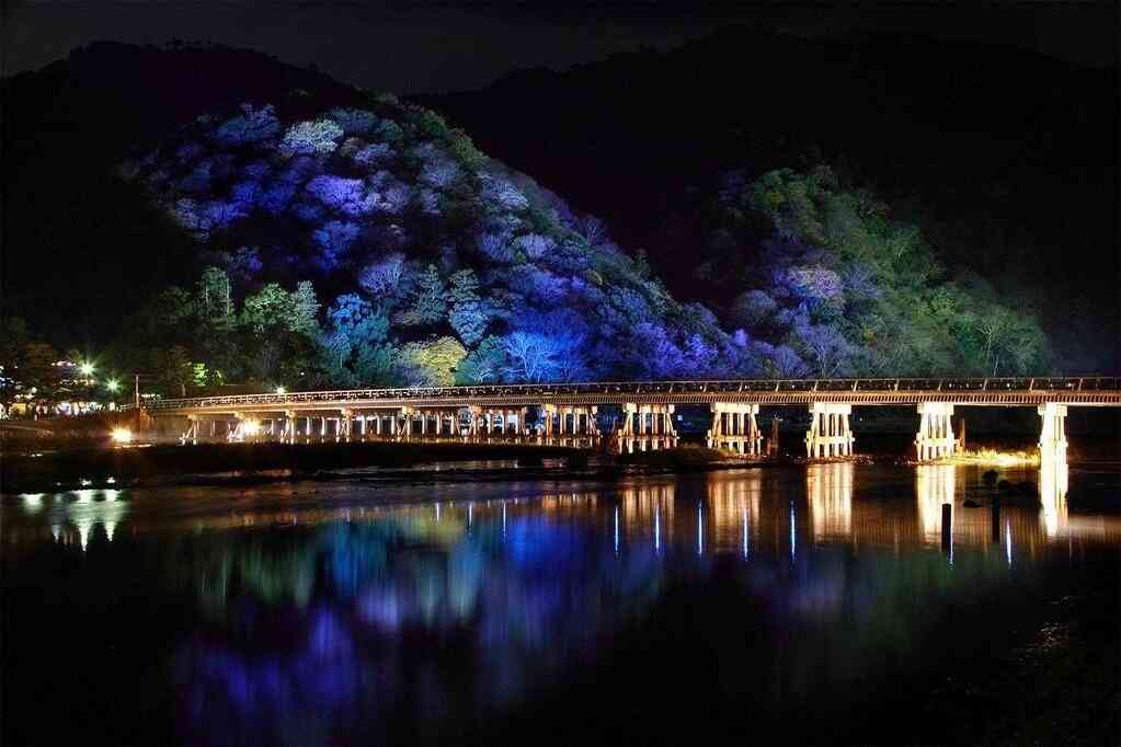 綺麗な画像【目の保養】