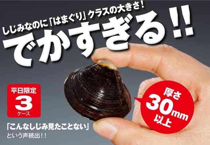 下腹に効果のある運動