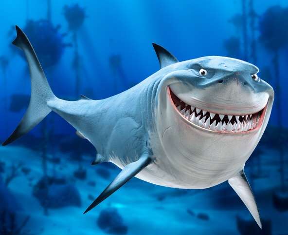 【ガルちゃん水族館】好きな海の生き物の写真をください(*^^*)