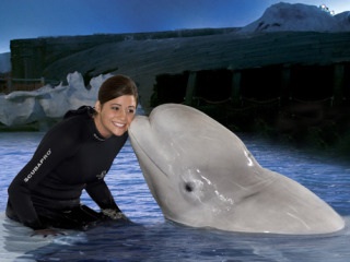 【ガルちゃん水族館】好きな海の生き物の写真をください(*^^*)