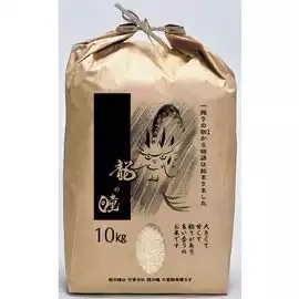 お米が好きな人～（おすすめの銘柄）