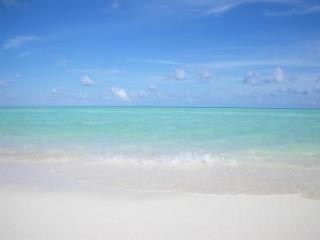 海行きますか？