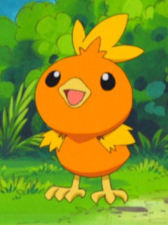 好きなポケモンは？