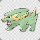 好きなポケモンは？