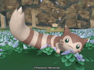 好きなポケモンは？