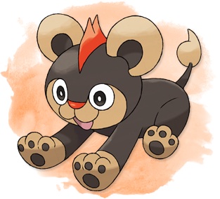 好きなポケモンは？