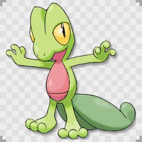 好きなポケモンは？