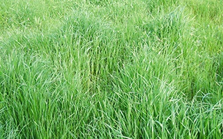 バレたくないのに、バレたこと