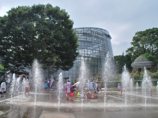 バレたくないのに、バレたこと